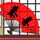 中国梦之声
